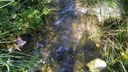 WP_20171008_006.jpg
