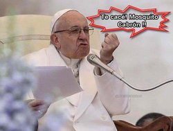 Mosquito, Papa, Francisco, Cazar, Caza, Cazado.jpg