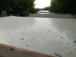IMG_20180624_202751.jpg