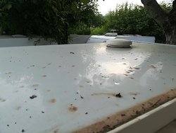 IMG_20180624_202747.jpg