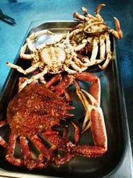 IMG_20180708_115536.jpg