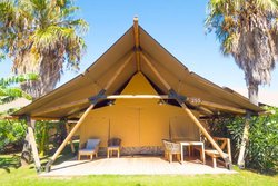 el-delfin-verde-glamping-8.jpg