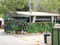 camping-marbella-playa (3).jpg