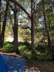 20180814_131654.jpg