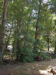 20180814_131659.jpg