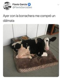 IMG-20180830-WA0001.jpg