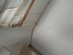 IMG-20180903-WA0005.jpg