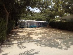 IMG_20180830_153835.jpg