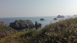 2018-07-14 10.20.36.jpg
