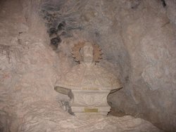DSCN5550.jpg
