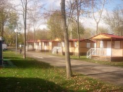 DSCN5782.jpg