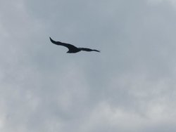 IMG_6127.jpg
