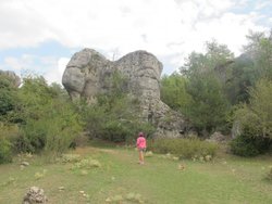 IMG_6100.jpg