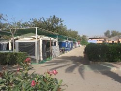 IMG_6241.jpg