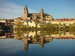 image_172706.jpg