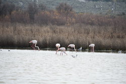 DSC_6134.JPG