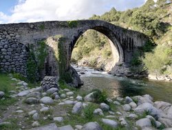 IMG_20190425_194539.jpg