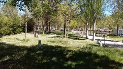 IMG_20190513_142255.jpg