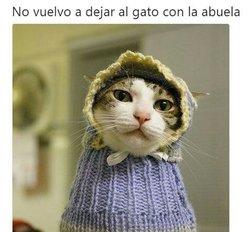 Abuela-tenemos-que-hablar-del-gato-1.jpg