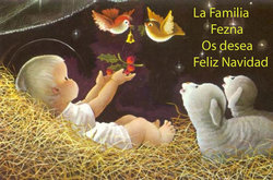 FELIZ NAVIDAD.jpg