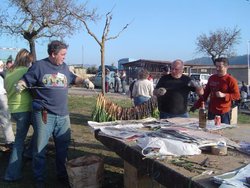 DSC01835.jpg