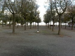 farolas.jpg