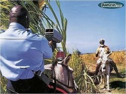 burro.jpg
