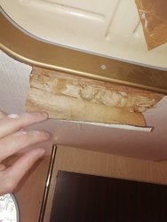 IMG_20190610_172141.jpg
