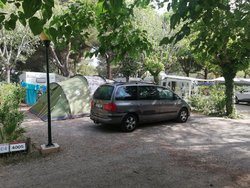 IMG_20190626_100312.jpg