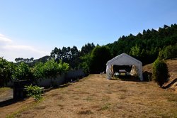 DSC_5364.jpg