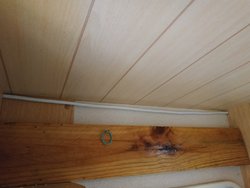 IMG_20190801_183557.jpg
