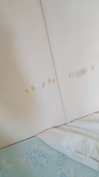 IMG-20190806-WA0027.jpeg