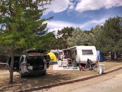 IMG_20190811_143747.jpg