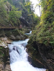 20190817_112338.jpg