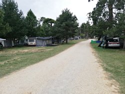 IMG_20190726_080331.jpg