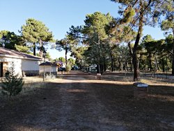 IMG_20190816_193909.jpg