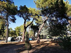 IMG_20190816_193957.jpg