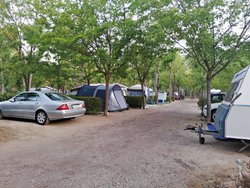 IMG_20190824_074824.jpg