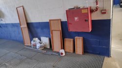 IMG_20191101_085620.jpg