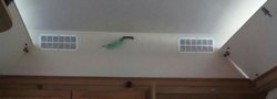IMG_20191113_024314_959.jpg