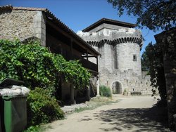 DSCF0119.jpg