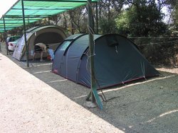 P1010037.jpg