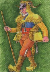 zamarrón.jpg