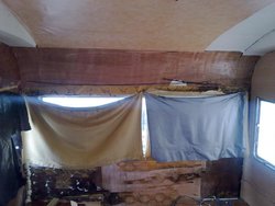31012010067.jpg