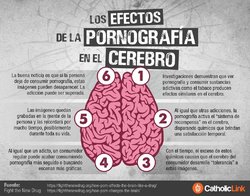 infografia-efectos-pronografia-cerebro.jpg
