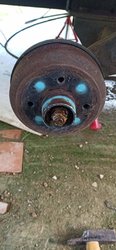 IMG_20200421_163046.jpg