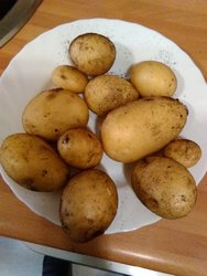 IMG_20200512_130921.jpg