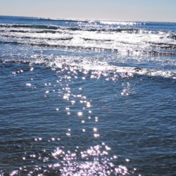 1590815942507.png