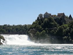 20200601_124524.jpg