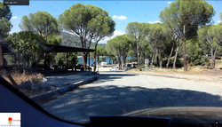 ardilla-4.jpg
